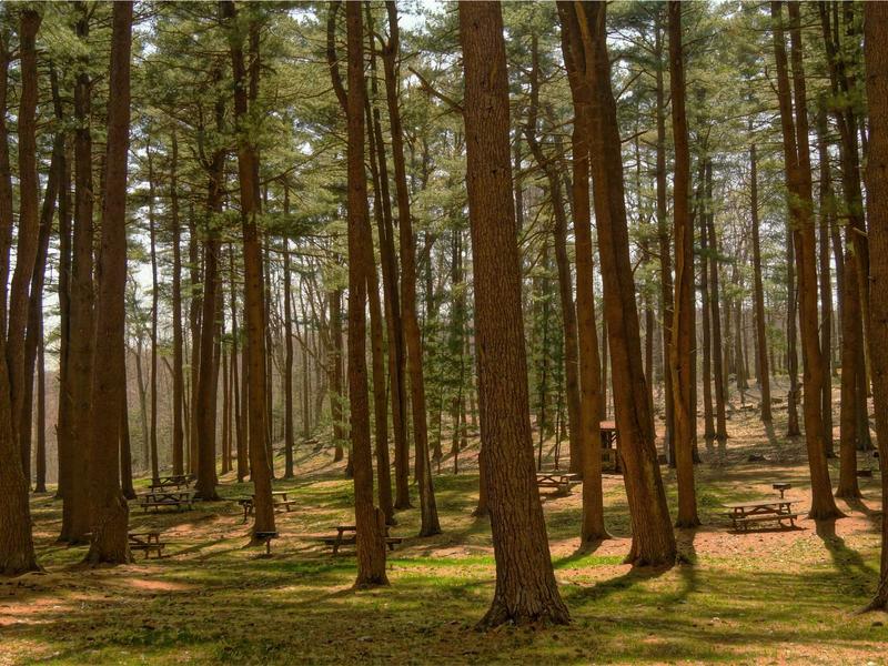 sudoku dark theme screenshot 3