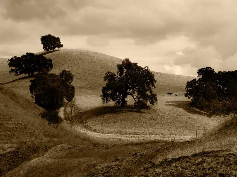 sudoku dark theme screenshot 4